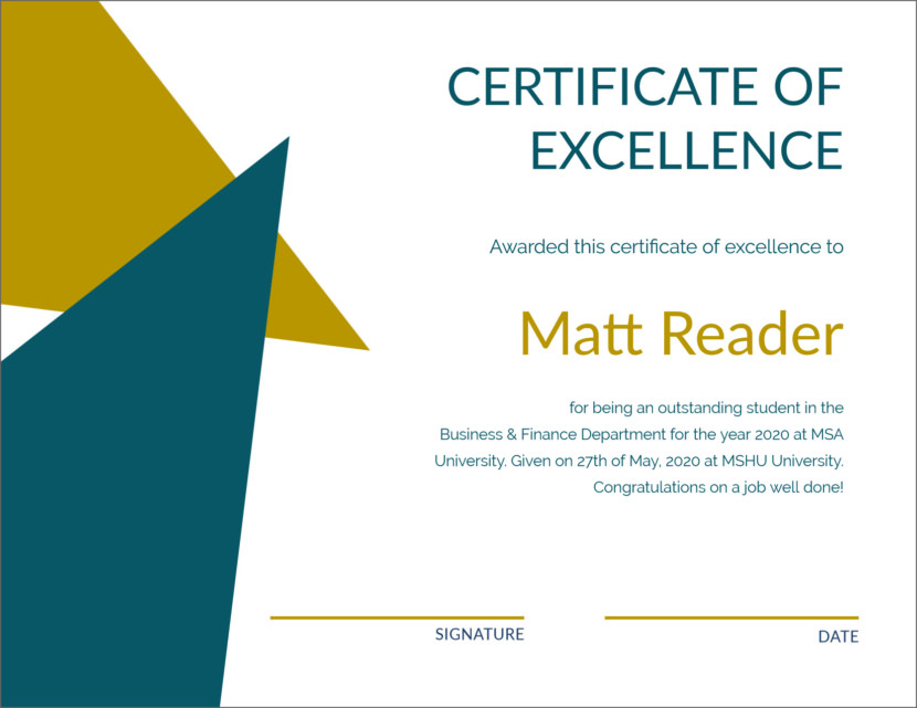 Screenshot of blank excellence and performance certificate template