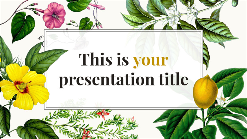 Screenshot of Microsoft Powerpoint and Google Slides presenation template